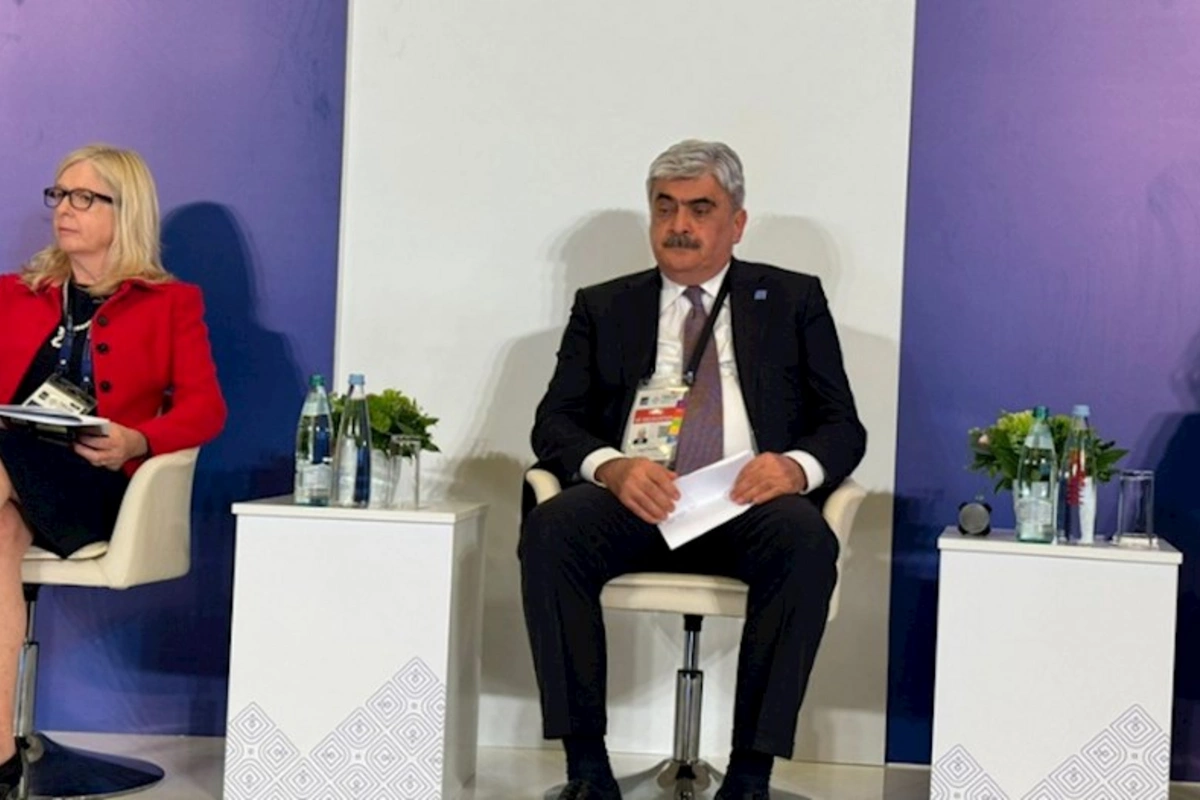 Nazir: İqlim maliyyələşməsinin böyük hissəsini inkişaf etmiş ölkələr ayırmalıdır