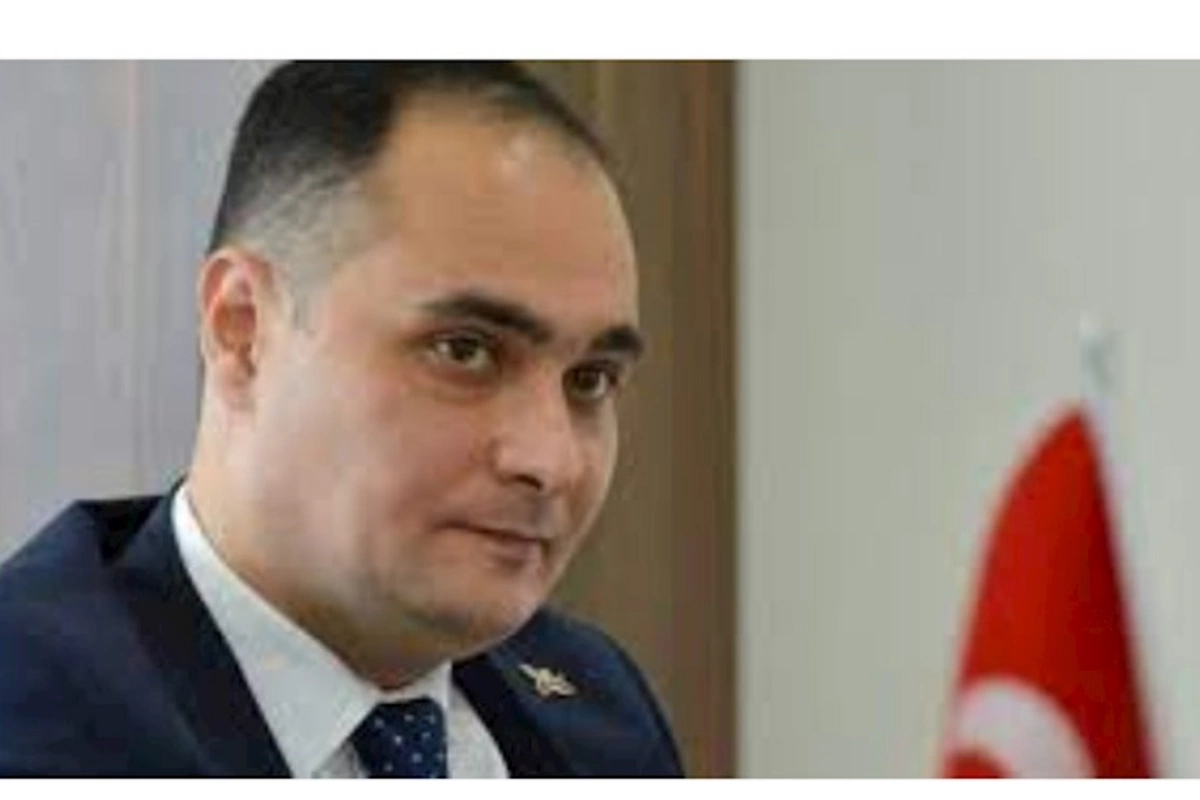 “Gülünc bir Saakaşvili sevgisi var bəzilərində” —Tbilisidəki etirazları dəstəkləyən kimlərdir?