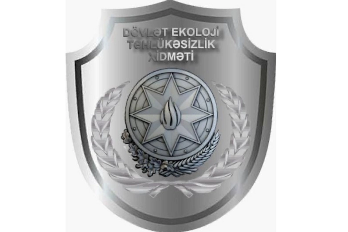 Ağacların kəsilməsi ilə bağlı araşdırma aparıldı