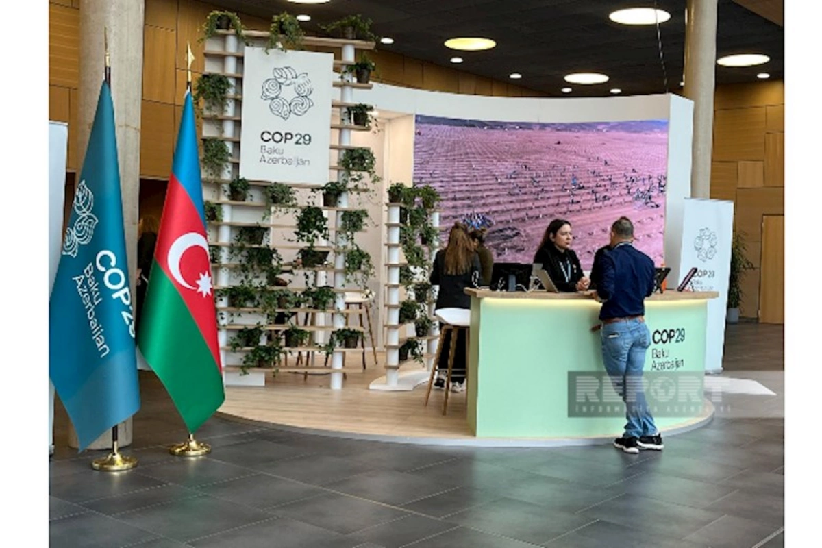 Azərbaycan COP29-la bağlı hərtərəfli fəaliyyət planını Almaniyada təqdim etdi — FOTO