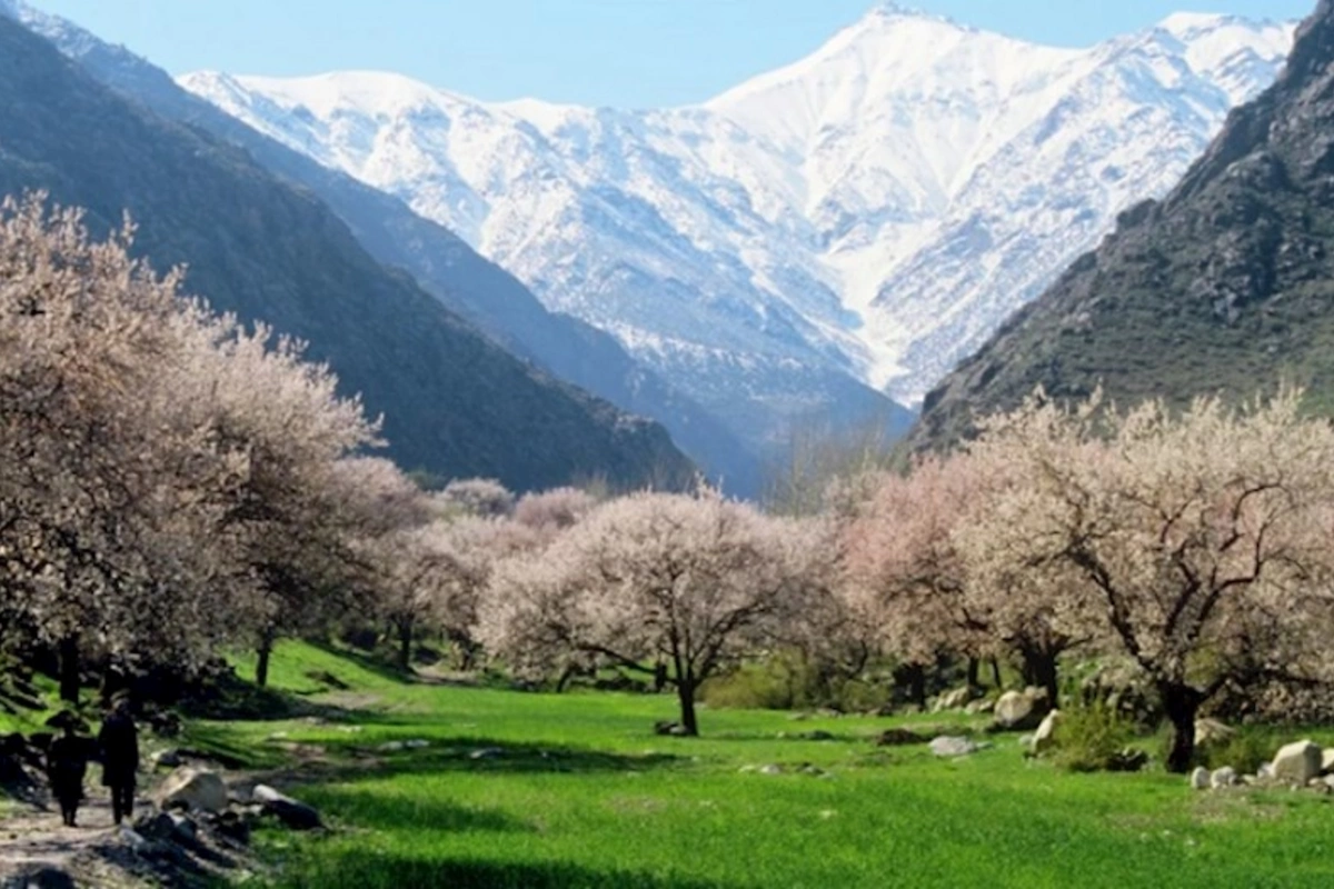 Tacikistanla Azərbaycan dostluq bağları yaradacaqlar