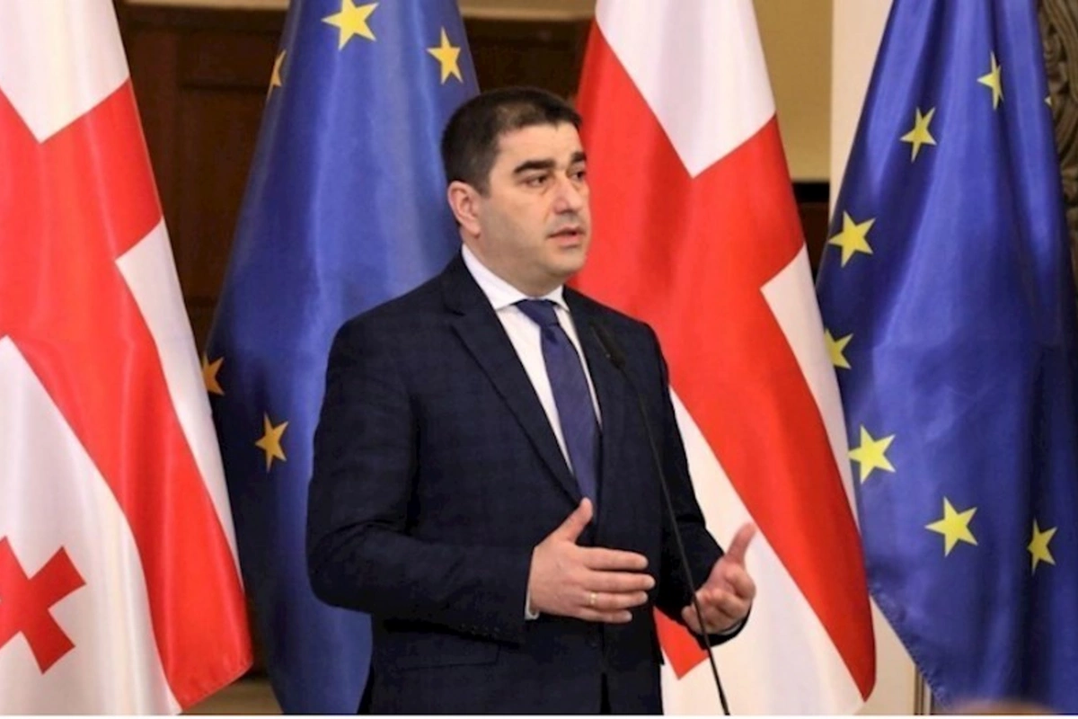 Şalva Papuaşvili: Saakaşvilinin partiyası hakimiyyətə qayıtsa, bütün Gürcüstanı edam gözləyir