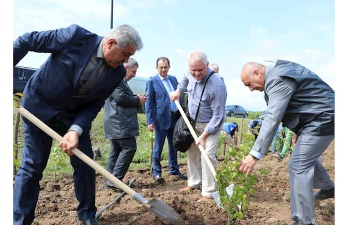 Səfir: “Dəmirağacı parkı”ndan danışmaq mənə böyük şərəf hissi verir — FOTOLAR