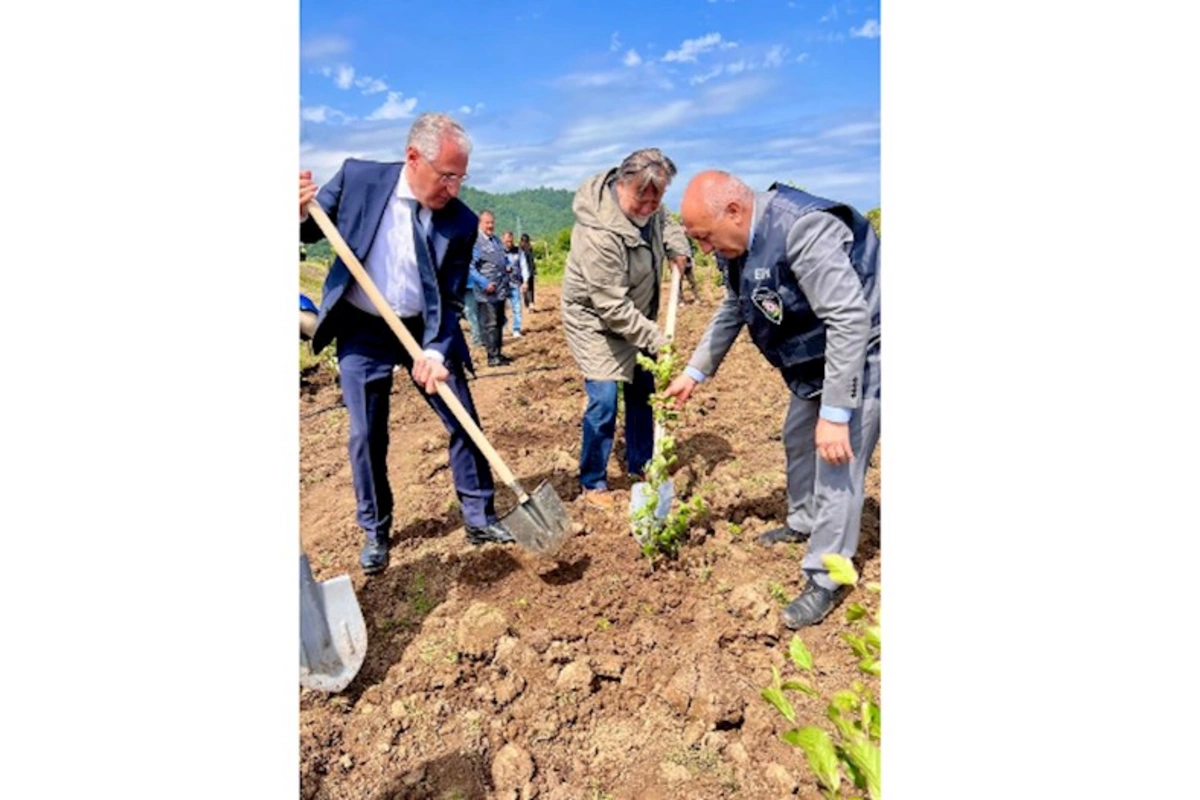 Səfir: “Dəmirağacı parkı”ndan danışmaq mənə böyük şərəf hissi verir — FOTOLAR