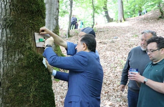 Səfir: “Dəmirağacı parkı”ndan danışmaq mənə böyük şərəf hissi verir — FOTOLAR