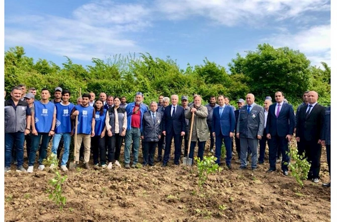 Səfir: “Dəmirağacı parkı”ndan danışmaq mənə böyük şərəf hissi verir — FOTOLAR