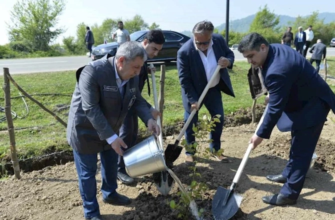 Səfir: “Dəmirağacı parkı”ndan danışmaq mənə böyük şərəf hissi verir — FOTOLAR