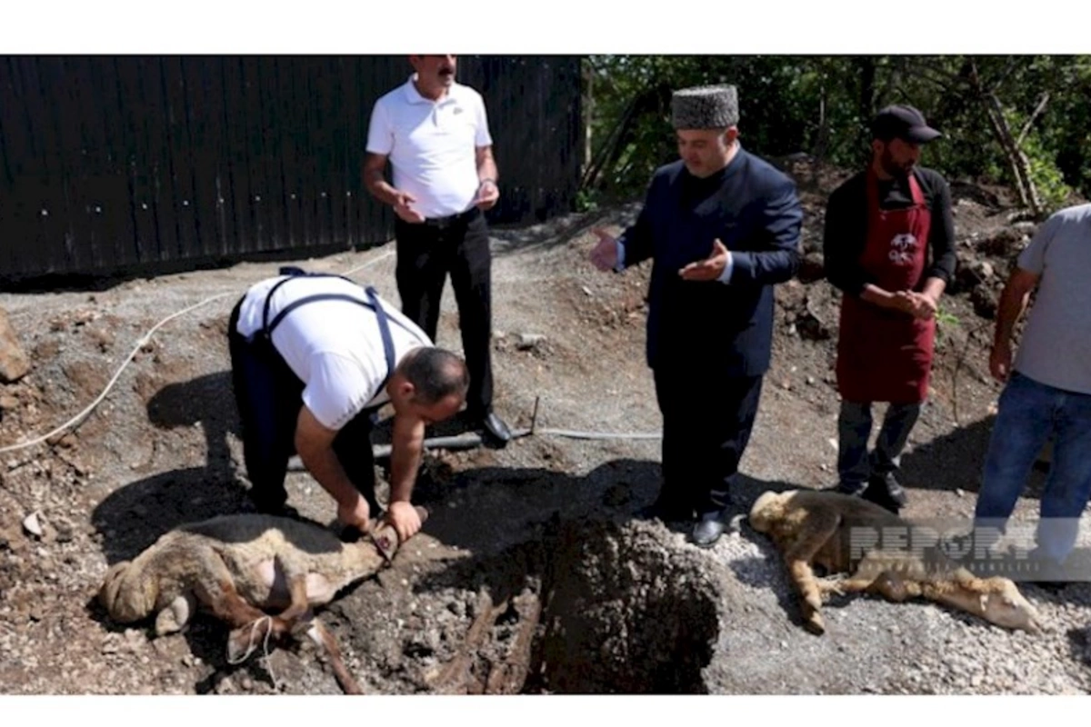32 ildən sonra ilk dəfə Şuşaya köçürülmüş sakinlər üçün qurbanlar kəsilib