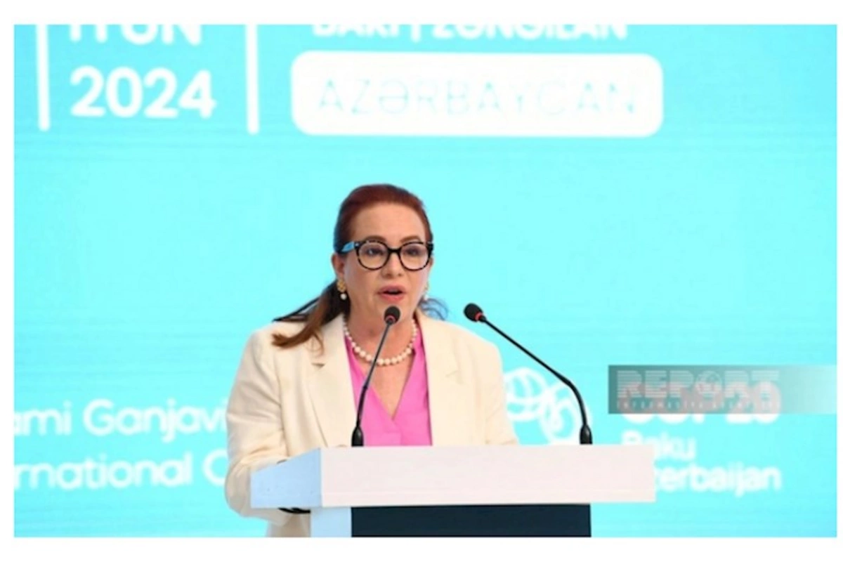 BMT Baş Assambleyasının sessiya sədri: COP29-un uğuru təkcə Azərbaycanın uğuru olmayacaq