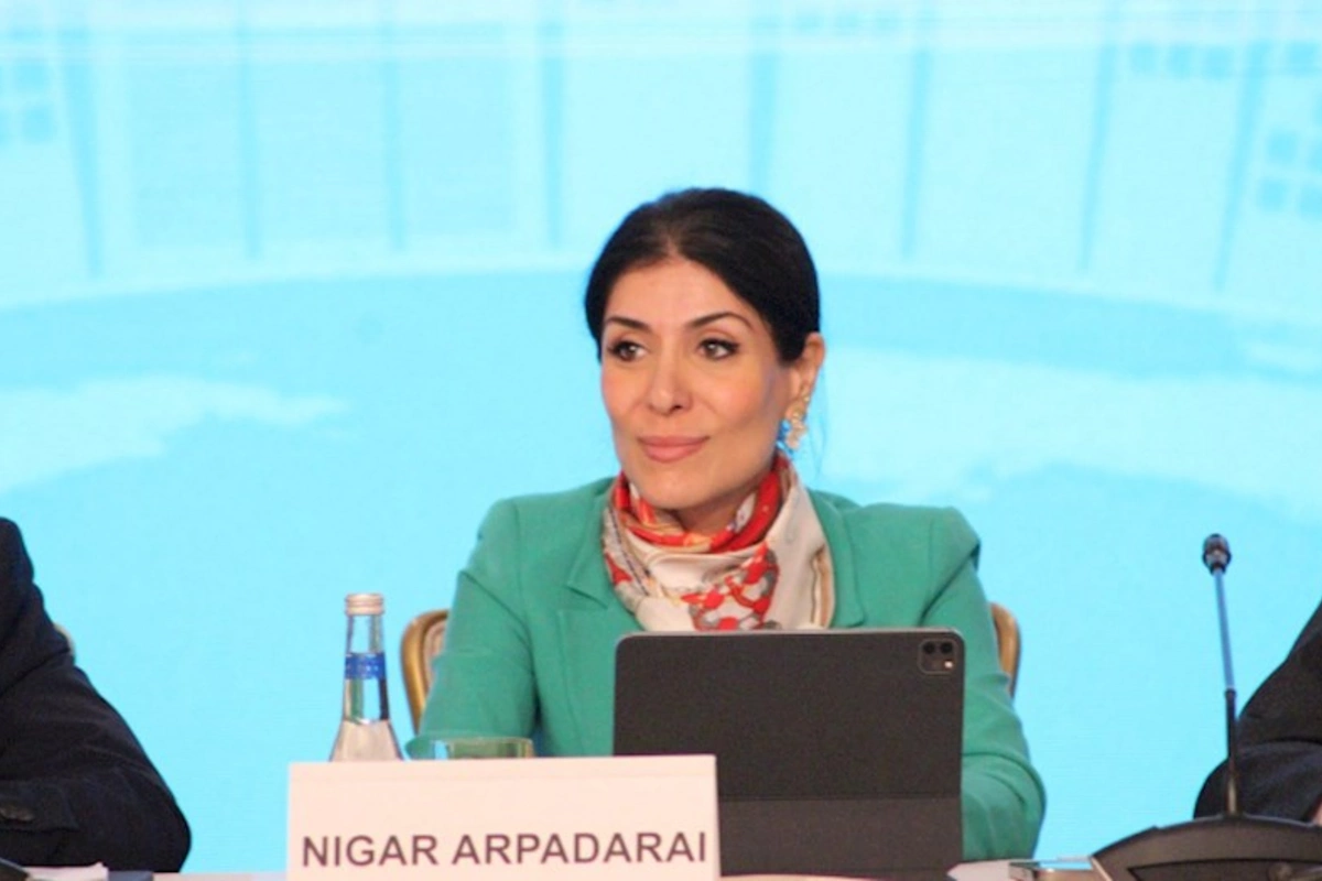 COP29-da əsas prioritet iqlim dəyişikliyi problemlərinin həllinə sərmayə cəlb etməkdir