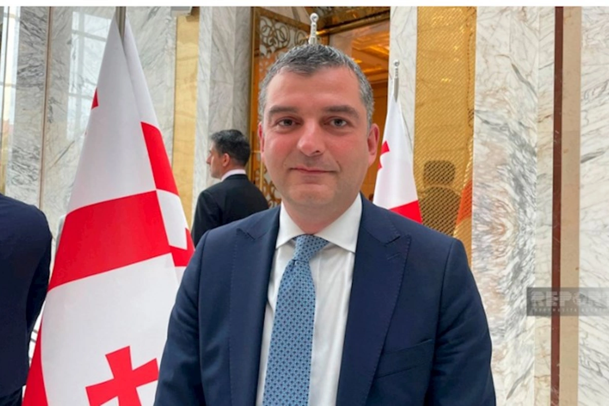 Paata Patiaşvili: Azərbaycan ordusunun güclü olması Gürcüstan üçün də çox önəmlidir