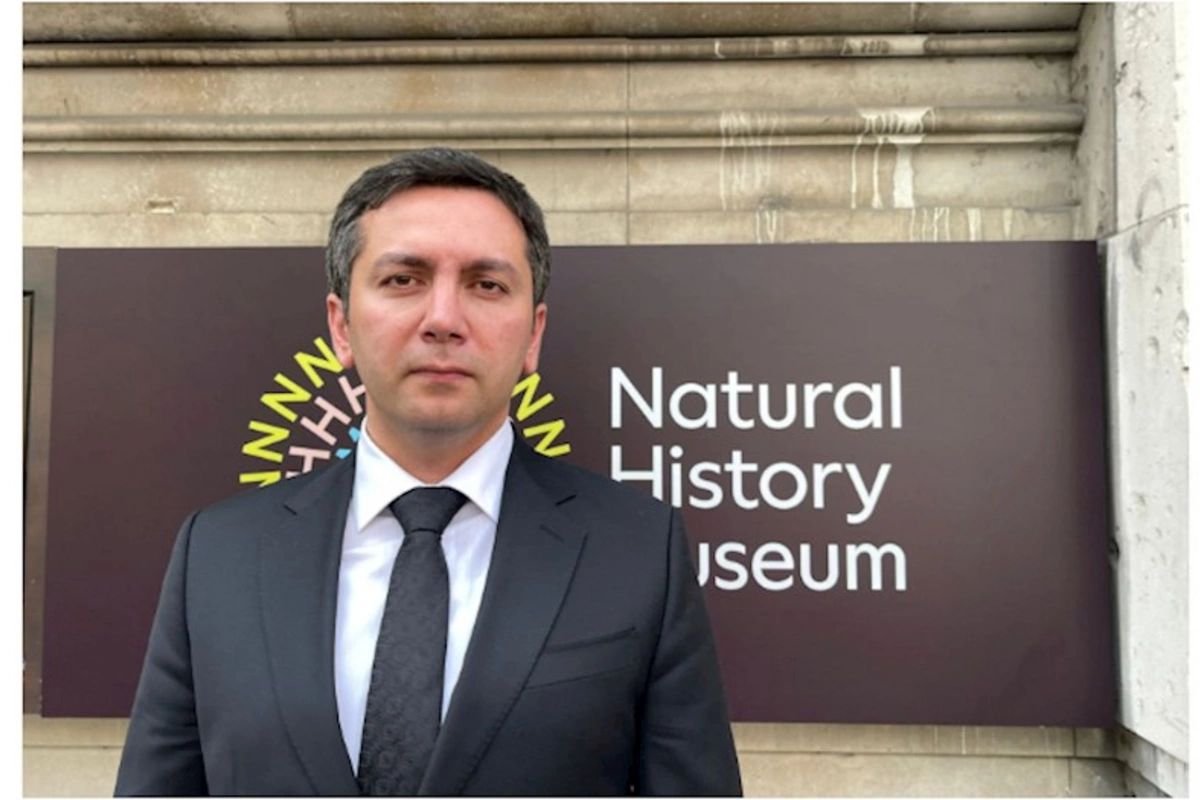 COP29-un hazırlıq prosesinə Britaniyada böyük maraq var