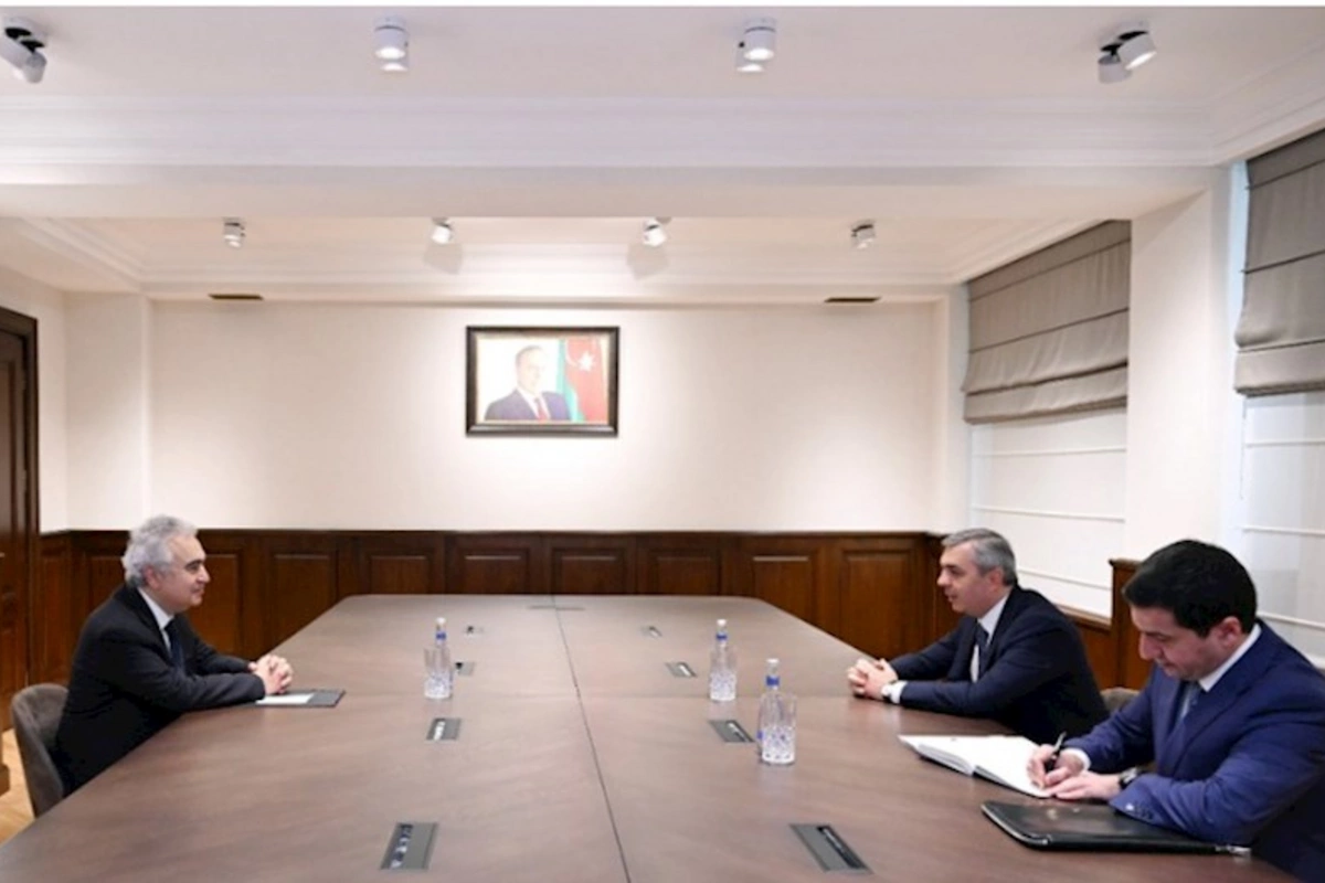 Prezident Administrasiyasının rəhbəri Beynəlxalq Enerji Agentliyinin icraçı direktoru ilə görüşüb