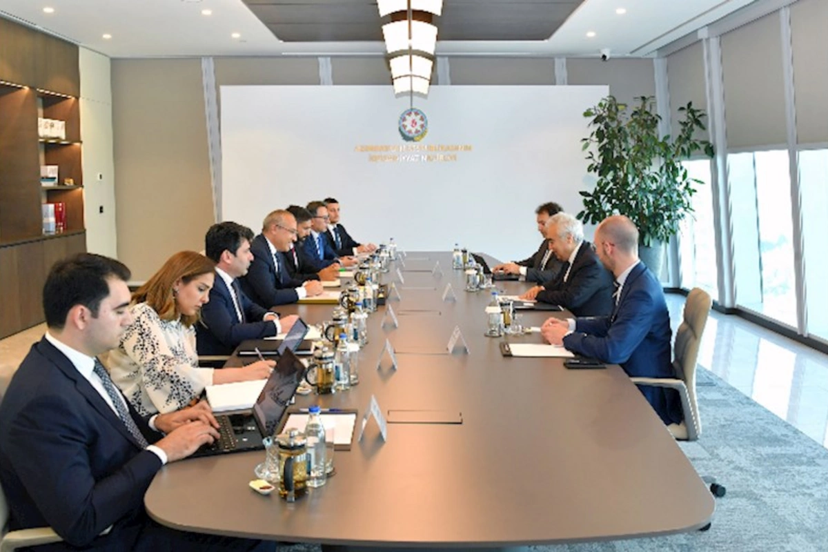 Beynəlxalq Enerji Agentliyinin icraçı direktoru ilə görüş keçirilib
