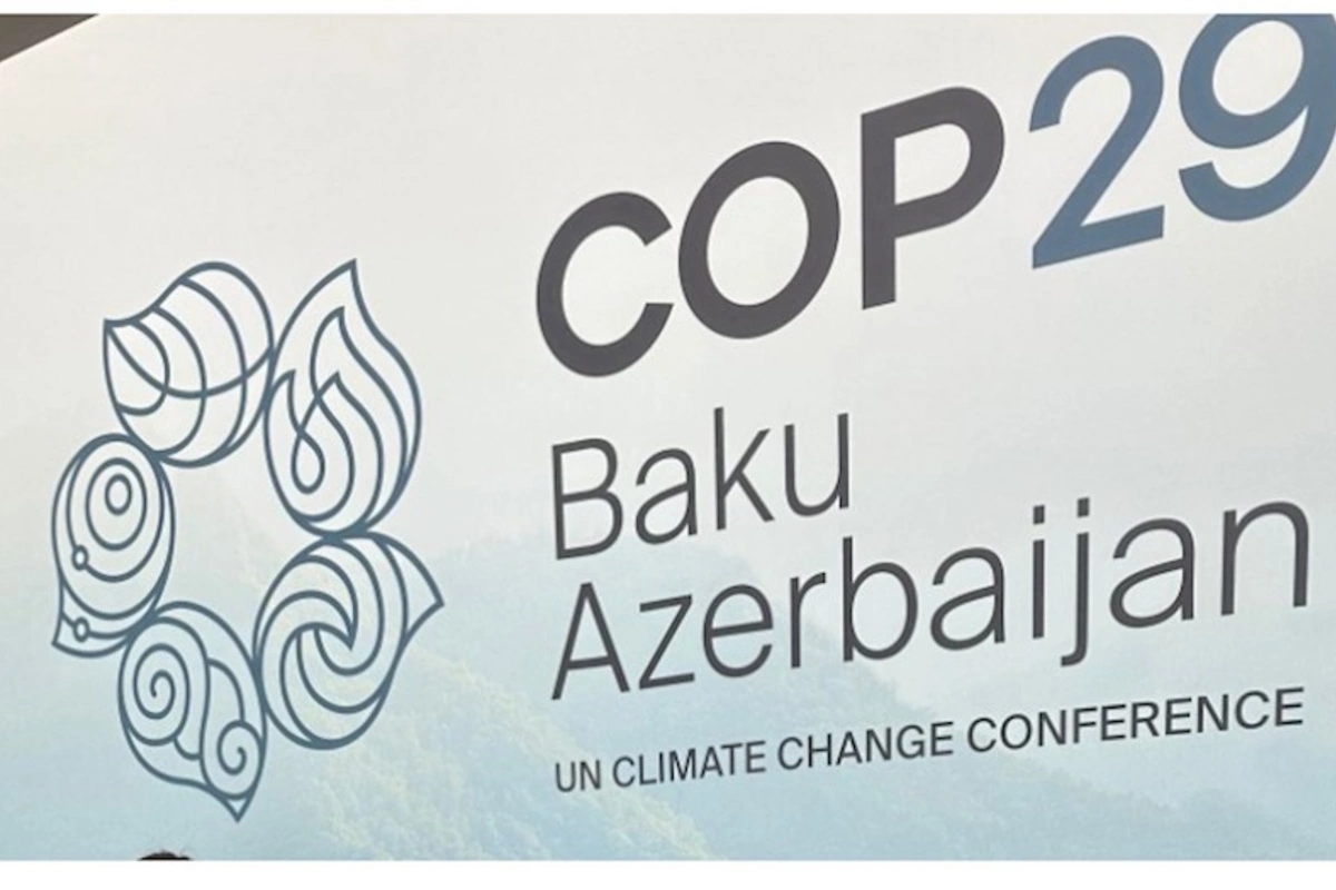 COP29 Fəaliyyət Gündəliyi Təşəbbüsləri açıqlanıb