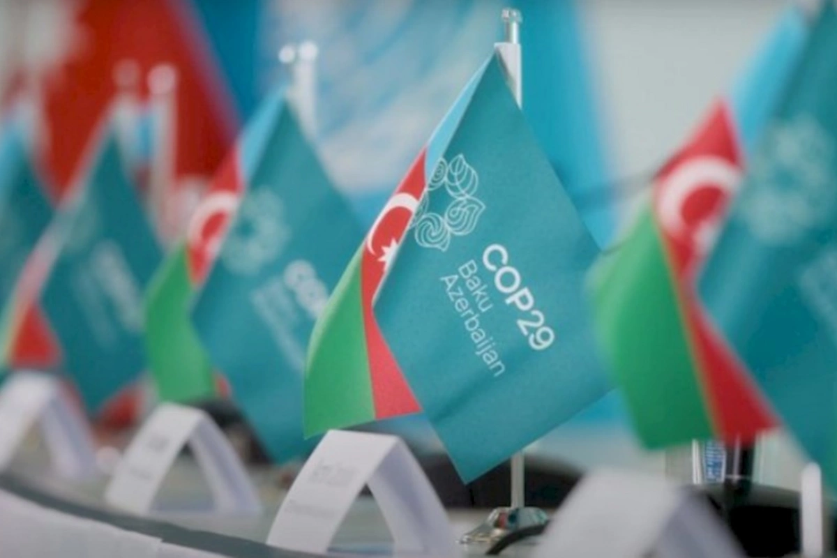 COP29 Bakıda — Tədbirin Azərbaycana verəcəyi ekoloji töhfələr böyükdür (FOTOLAR)
