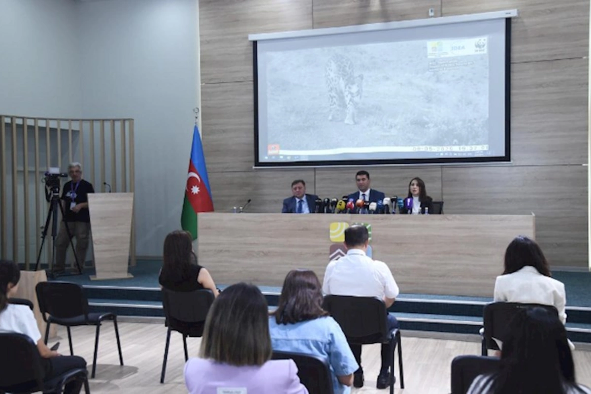 Qarabağ və Kəlbəcərdə bəbir müşahidə olunub — FOTO