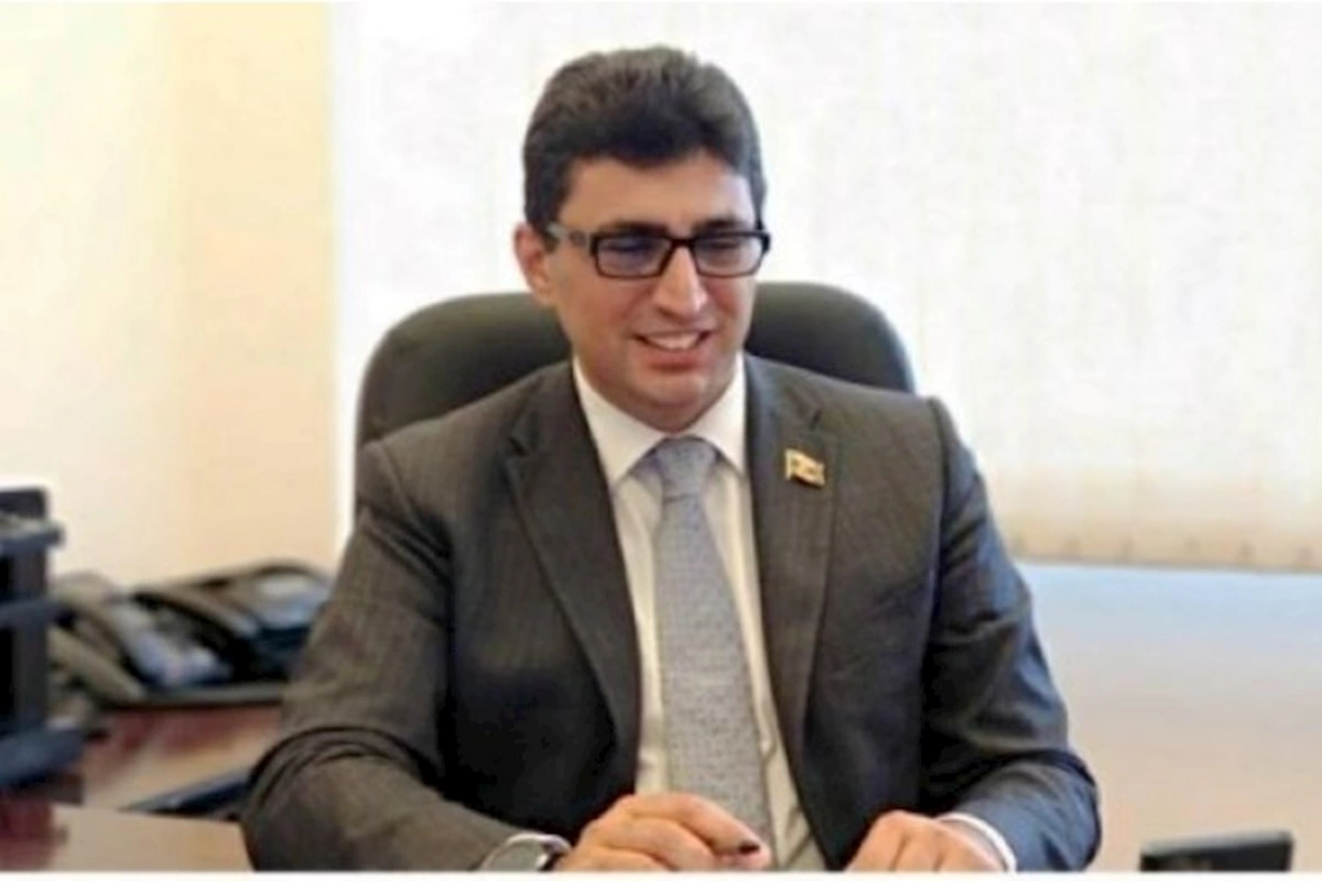 Şahin Seyidzadə ilə bağlı siyasi plan: qoruq müdiri vitse-spiker postuna gətirilir