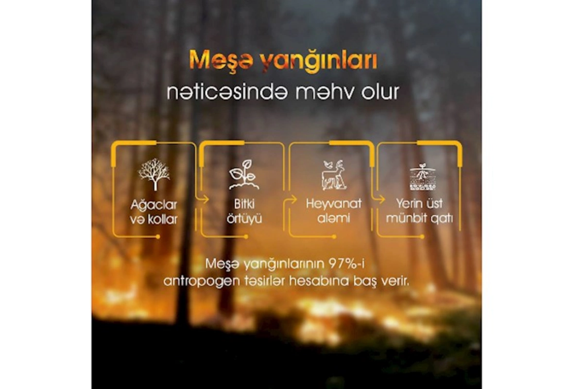 Üç nazirlik istilərlə bağlı əhaliyə müraciət etdi