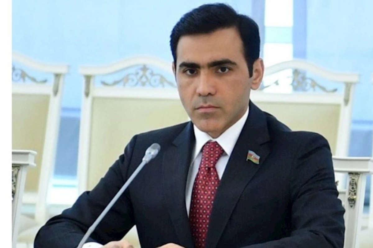 Anar Məmmədova çağırış edildi: Namizədliyini geri çək!
