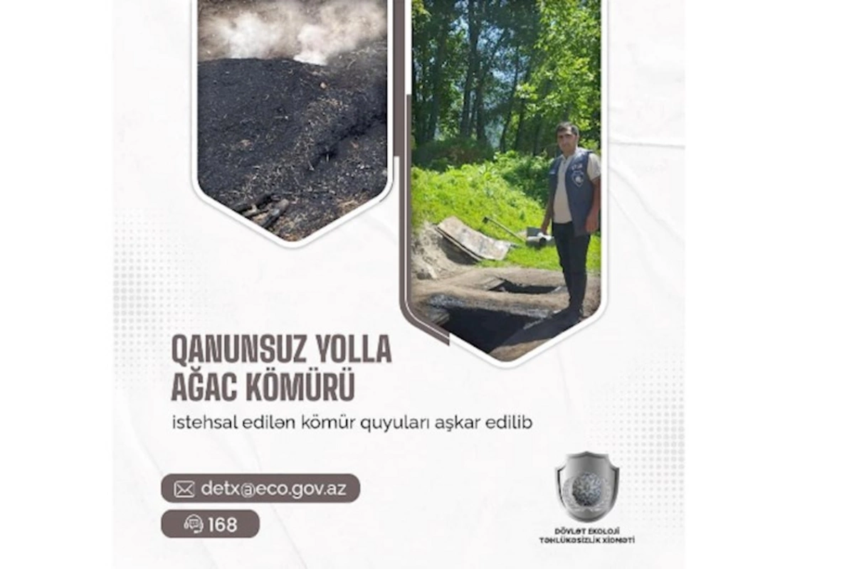 Qanunsuz yolla ağac kömürü istehsal edilən kömür quyuları aşkar olundu