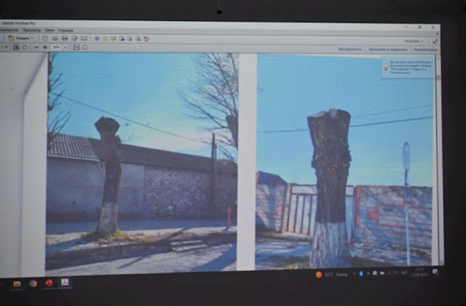 Bakıda park, Şəkidə məktəb binası layihəsinin ekoloji qiymətləndirilməsi həyata keçirilib — FOTOLAR