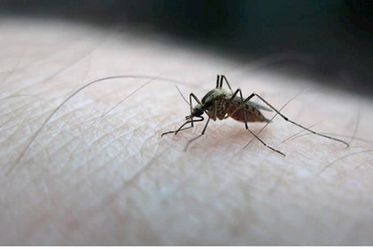 Bu ölkədə ölümcül virus həyəcanı — 1 həftə ərzində 5 nəfər öldü