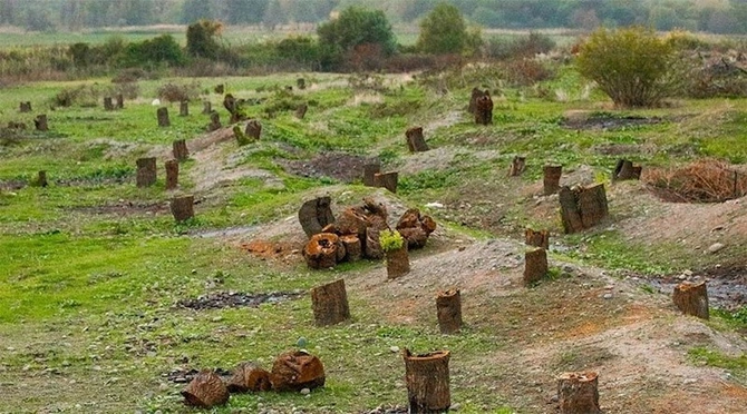 “Ermənistanın ekoloji terroru” — “Yaşıl Dünya” EMİB layihənin icrasına başladı (FOTO)