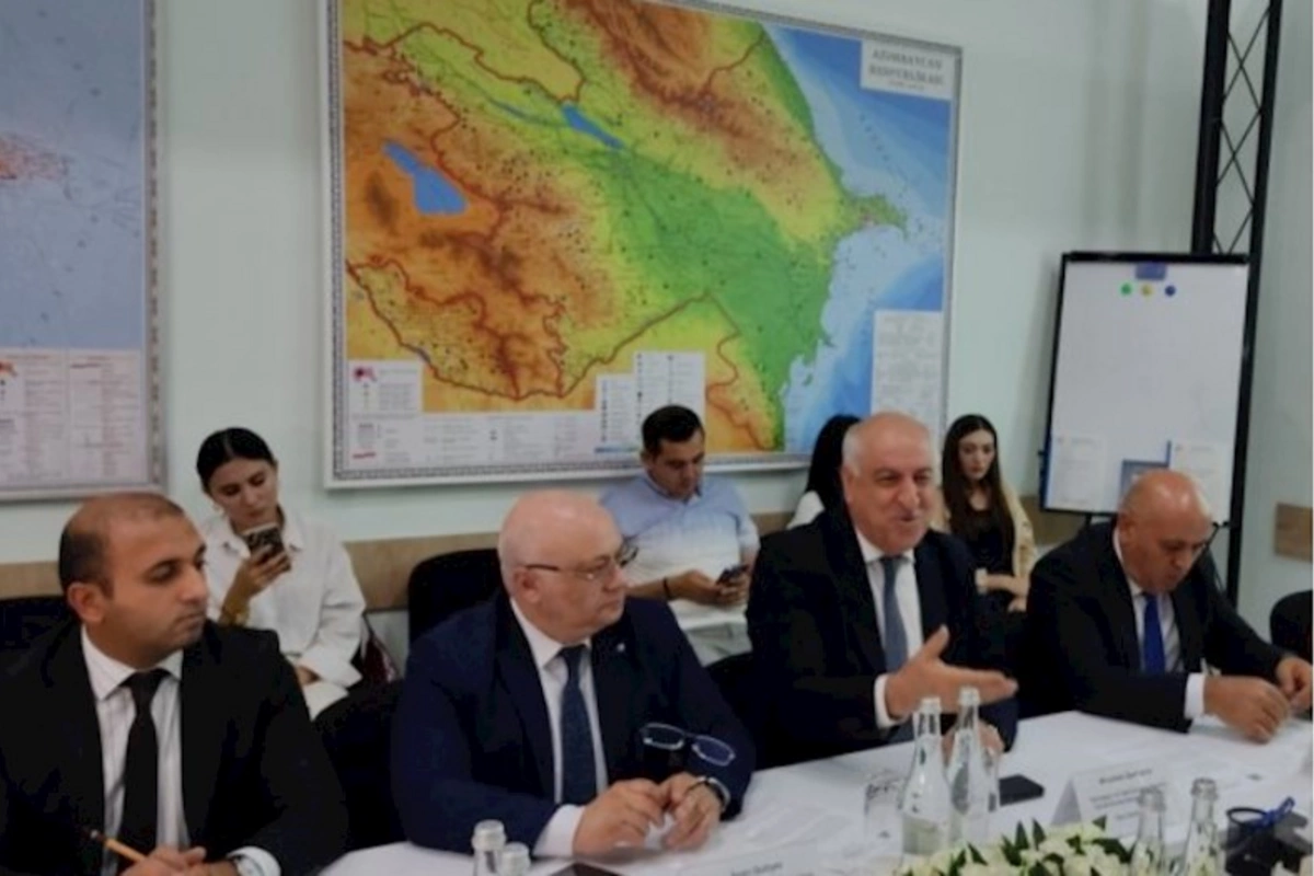 Bakıda problem yaradan yabanı ağacların götürülməsi asanlaşdırıldı — FOTOLAR