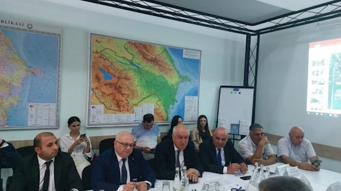 Bakıda problem yaradan yabanı ağacların götürülməsi asanlaşdırıldı — FOTOLAR