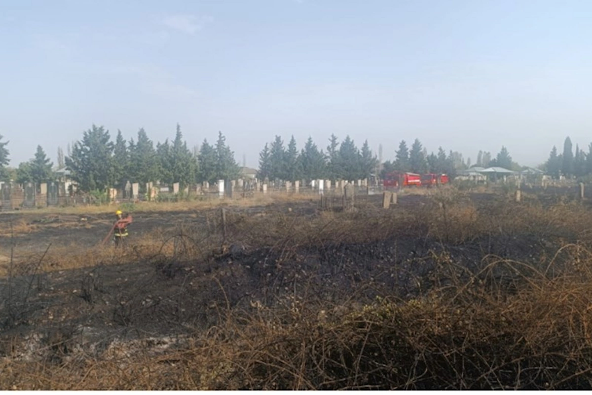 Tovuzda qəbiristanlıqda yanğın