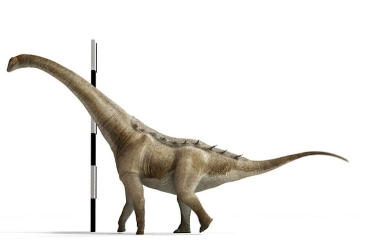 Alimlər İspaniyad dinozavrın yeni növünü tapdı