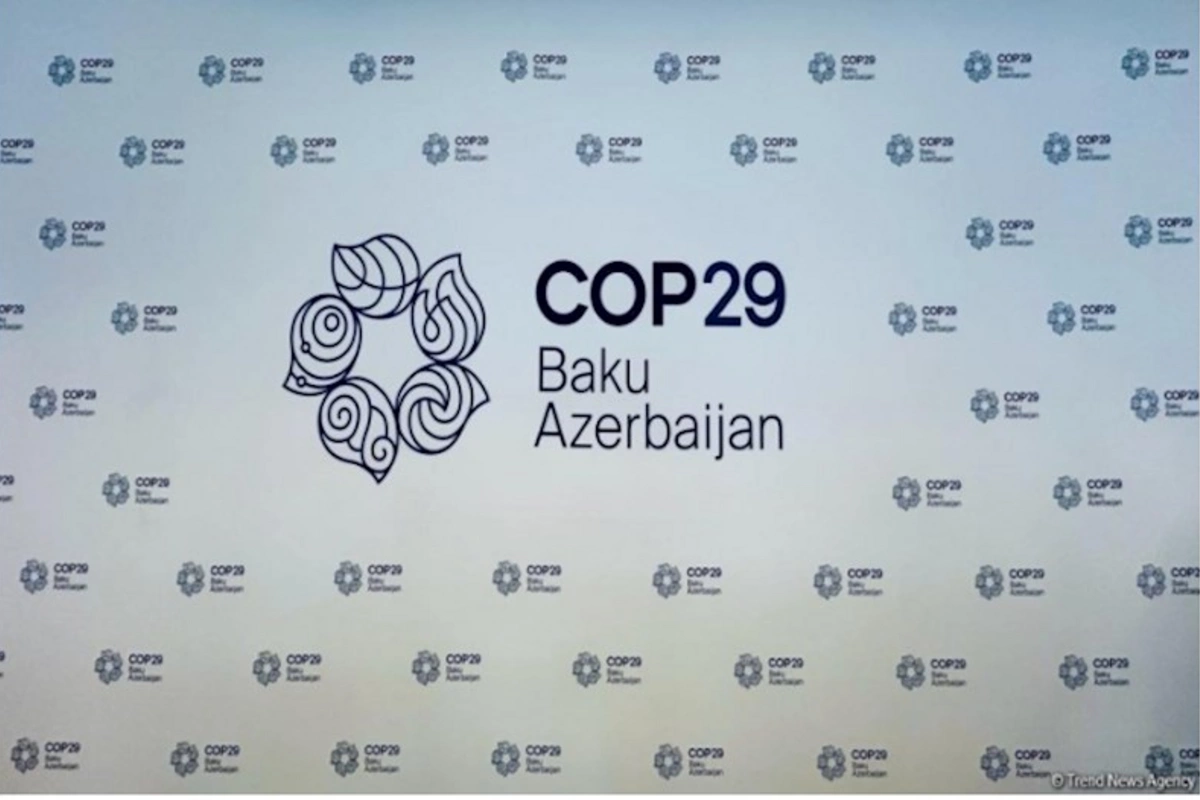 COP 29-un keçirilməsinə ayrılan vəsaitin auditi aparılacaq