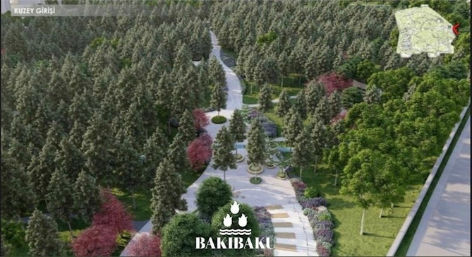 Yasamalda quruyan ağaclarla bağlı RƏSMİ AÇIQLAMA