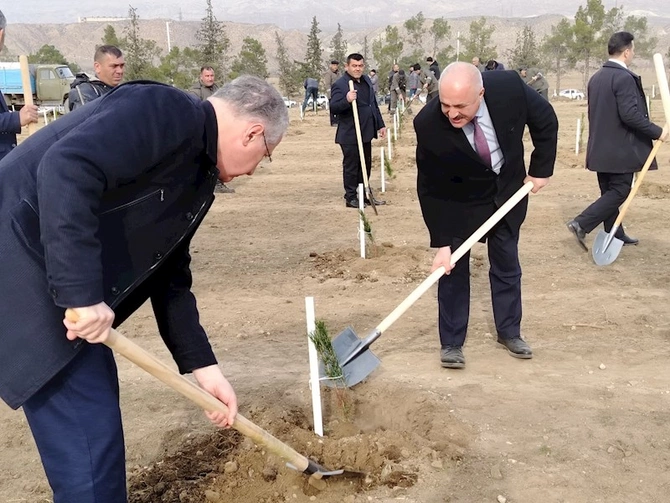Bu gün Ağstafa və Tovuz rayonlarının meşə sahələrində, ümumilikdə 4 mindən çox ağac əkilib — FOTOLAR