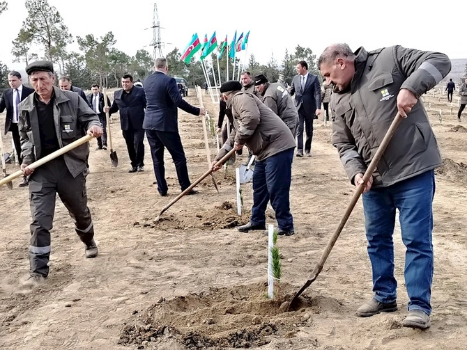 Bu gün Ağstafa və Tovuz rayonlarının meşə sahələrində, ümumilikdə 4 mindən çox ağac əkilib — FOTOLAR