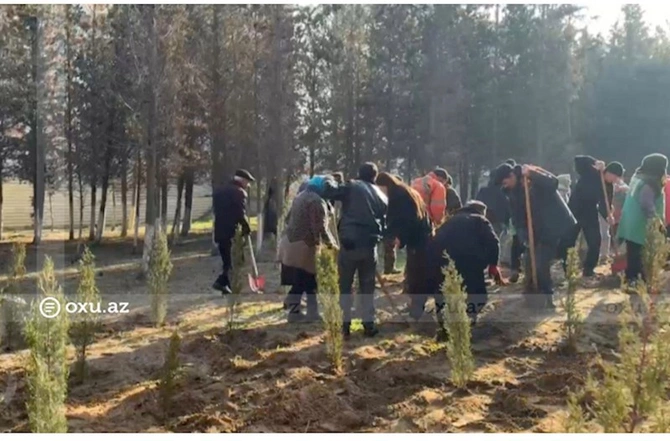 Sumqayıtda ağaclar obyekt tikintisi üçün kəsilir? — AÇIQLAMA (FOTOLAR) Sumqayıtda ağaclar obyekt tikintisi üçün kəsilir? — AÇIQLAMA (FOTOLAR)