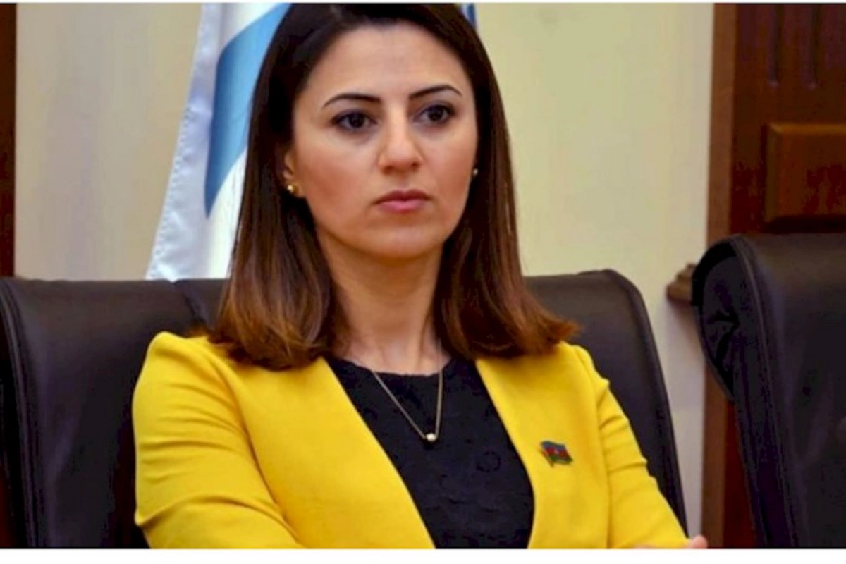 Sevinc Fətəliyeva vəzifəsini itirdi