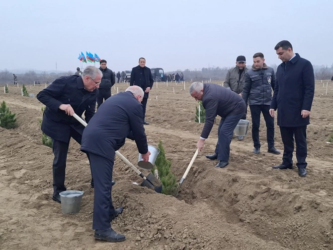 Ölkə ərazisində meşəbərpa tədbirləri davam edir — FOTOLAR