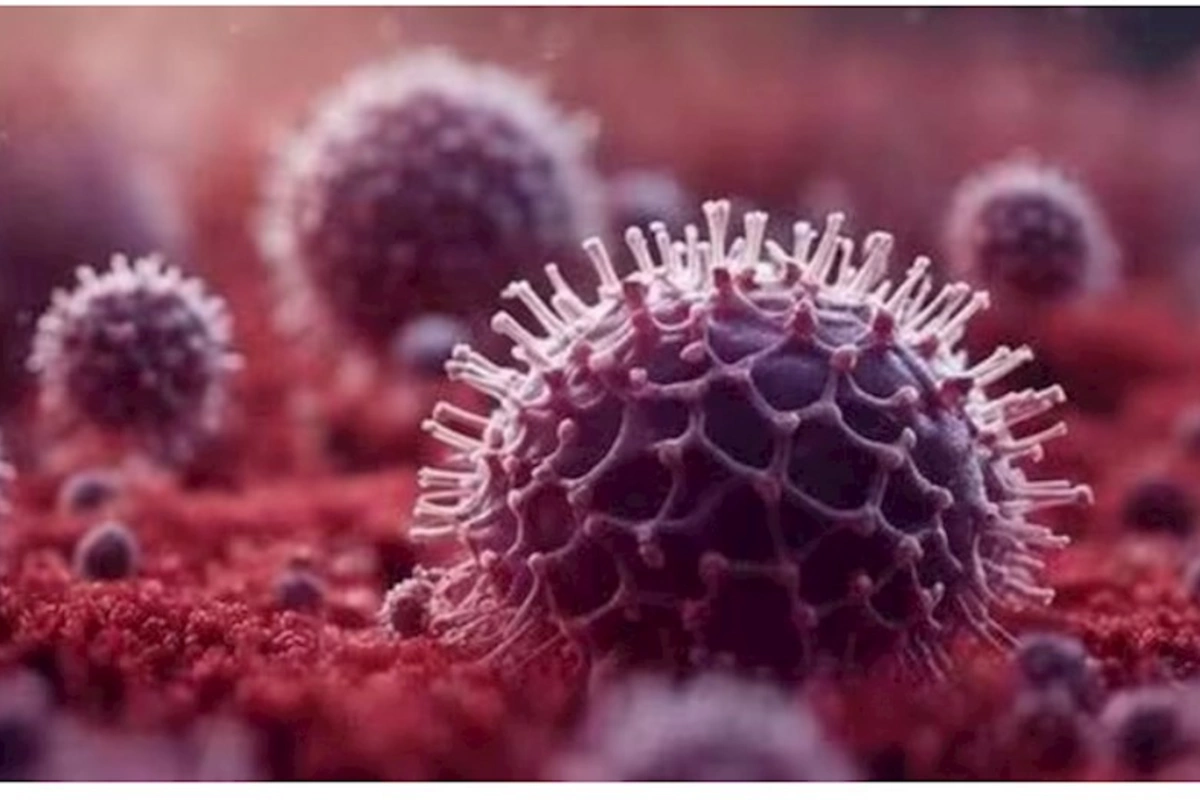 Çindəki yeni virus Qırğızıstana da çatdı