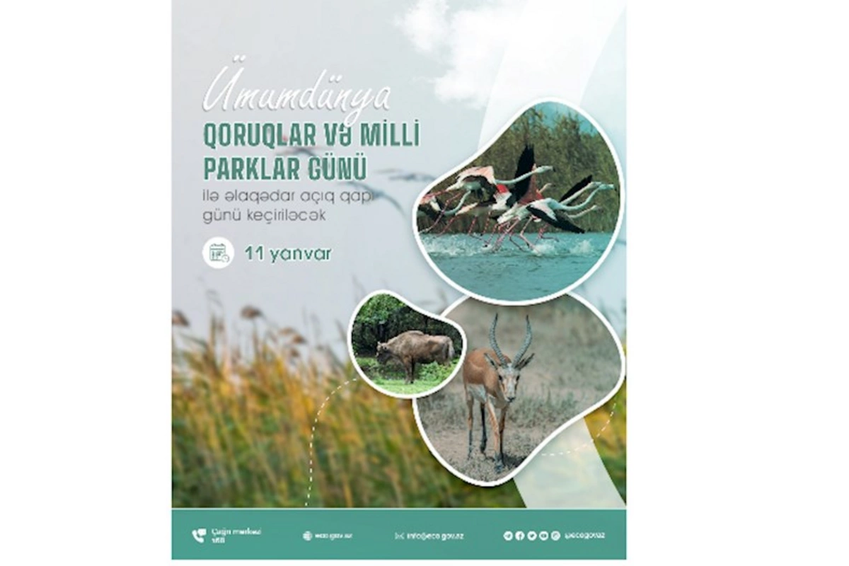 Ümumdünya Qoruqlar və Milli Parklar Günü ilə bağlı milli parklarda “açıq qapı” günü keçiriləcək