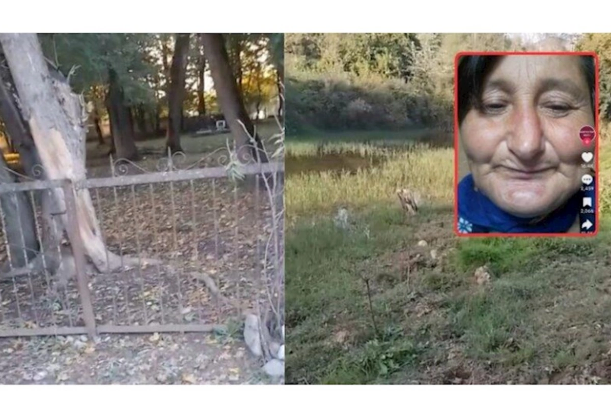 Sosial şəbəkələrdə gündəm olan Qərənfilin iddiaları ilə bağlı RƏSMİ AÇIQLAMA