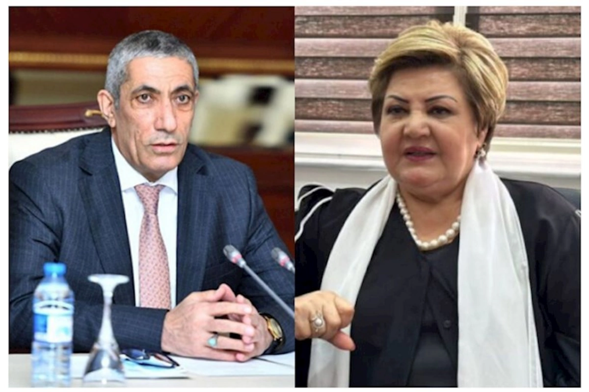 Siyavuş Novruzov məni saxtakar adlandırdı — Tənzilə Rüstəmxanlı hirsləndi