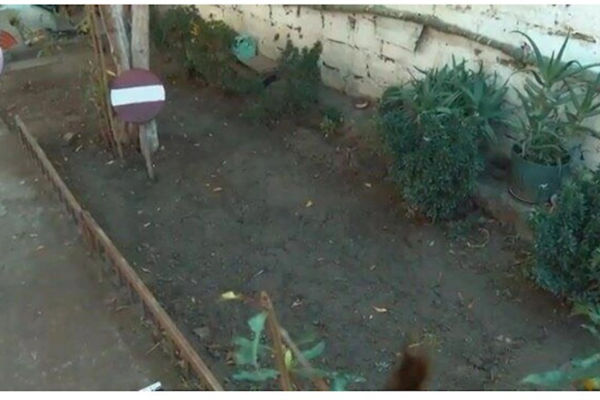 Ərini basdırdığı yerə “giriş qadağandır” nişanı qoydu — VİDEO