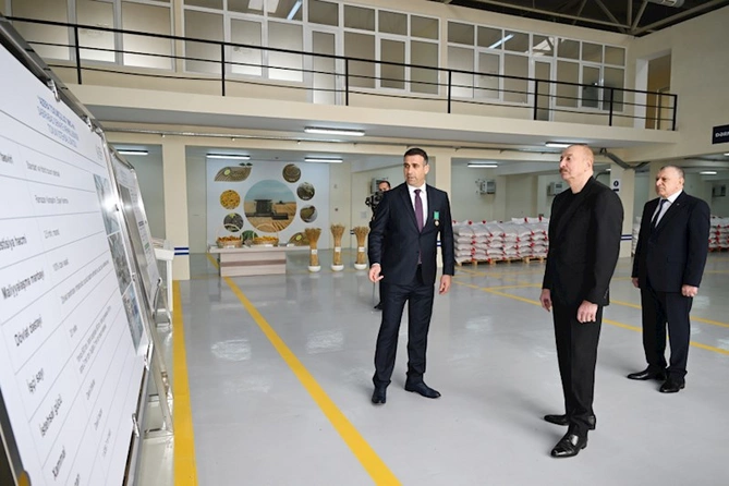 Sabirabad Sənaye Məhəlləsində toxum istehsalı müəssisəsinin fəaliyyəti ilə tanışlıq — FOTOLAR