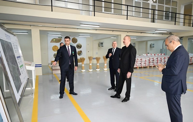 Sabirabad Sənaye Məhəlləsində toxum istehsalı müəssisəsinin fəaliyyəti ilə tanışlıq — FOTOLAR