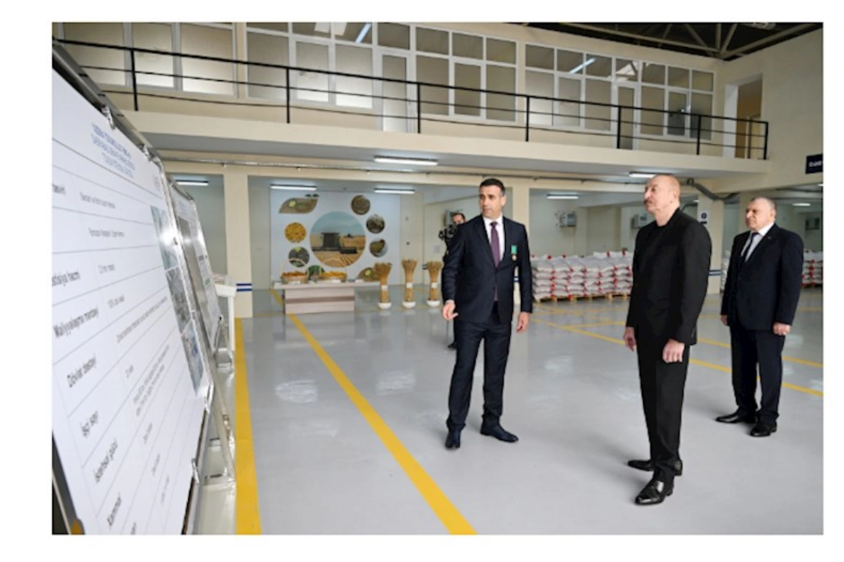Sabirabad Sənaye Məhəlləsində toxum istehsalı müəssisəsinin fəaliyyəti ilə tanışlıq — FOTOLAR