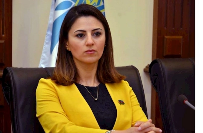 Qəbələdə keçirilən Sammit TDT-nin fəaliyyətində yeni mərhələdir — Deputat