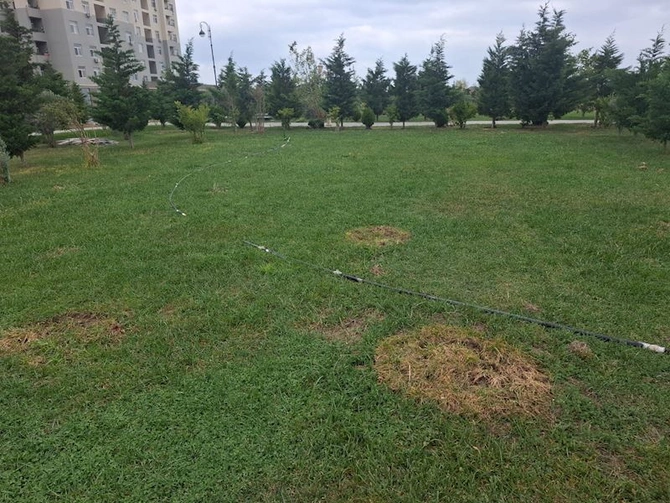 Kəsilmiş ağacların əvəzinə yeni ağaclar əkilib, identifikasiya etiketi vurulub — FOTOLAR