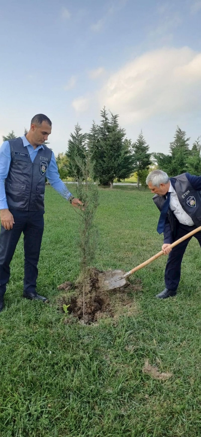 Kəsilmiş ağacların əvəzinə yeni ağaclar əkilib, identifikasiya etiketi vurulub — FOTOLAR